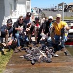 05-15-15-sea-bass-cod.jpg