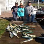 10-15-15-mahi.jpg