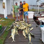 09-10-15-mahi.jpg