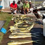 09-09-15-mahi.jpg