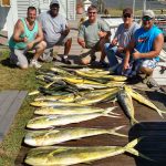 09-08-15-mahi.jpg