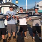 tuna-scaled.jpg