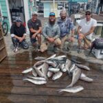 Fish Catch