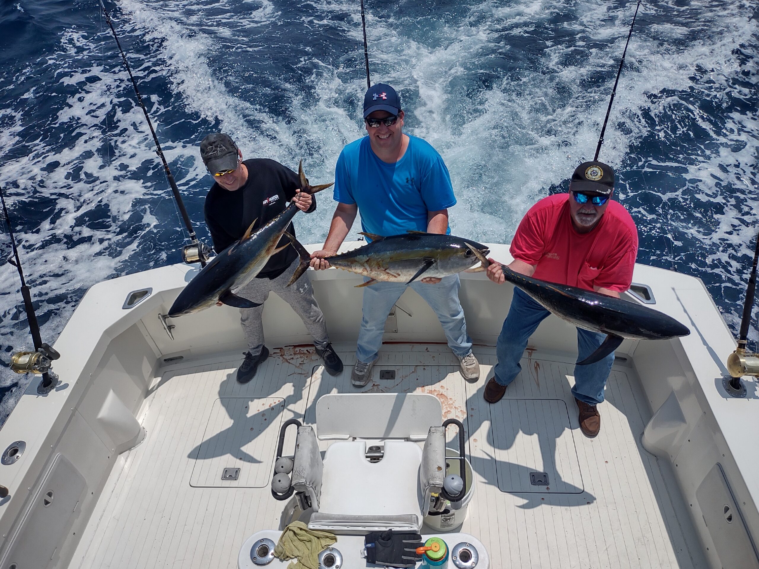 Tuna catch