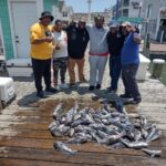 Fish catch