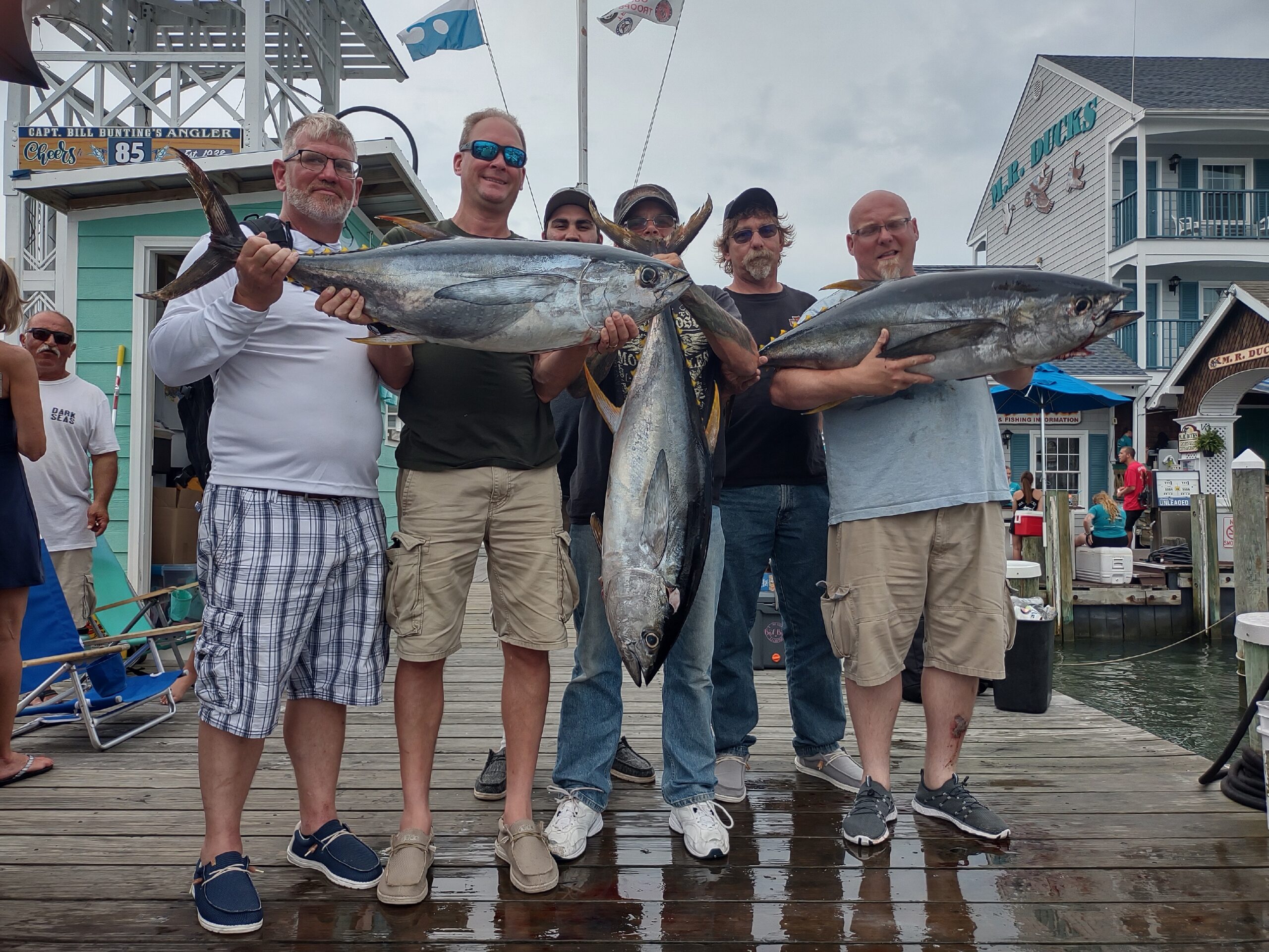 Tuna