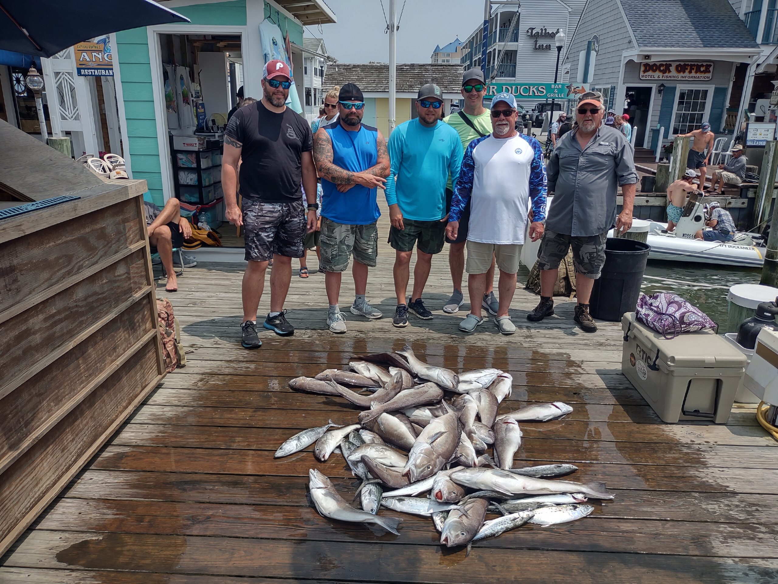 Fish catch