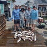 Fish catch