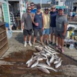 Tilefish catch