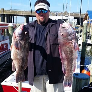 Tog On The Inshore Wrecks!