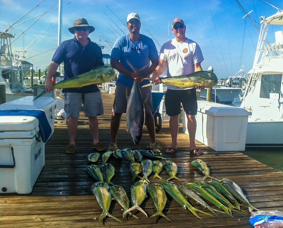 Dolphin, Dorado, Mahi-Mahi…..Delicious!