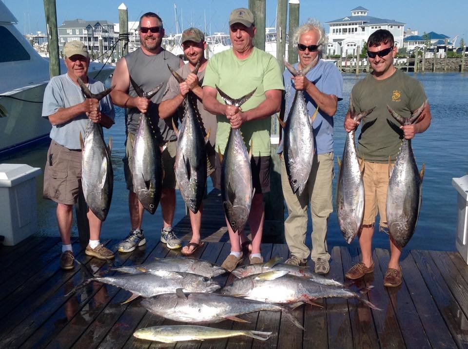 Tuna in the Washington Canyon, Sharks in the Fingers