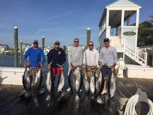 BH 17 Balt 64degrees