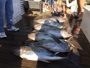 1510452_423586174487395_3310881757125141523_n