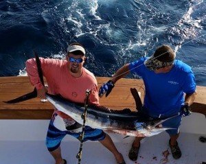Moore Bills White Marlin