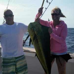 Rhonda's Osprey Dolphin