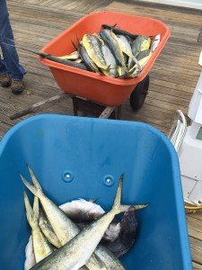 11350545_465445093631140_7004495452433050454_n