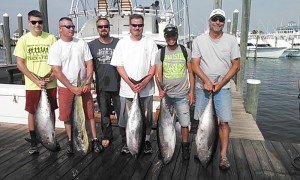 6284_953329018050827_8752770718773721318_n