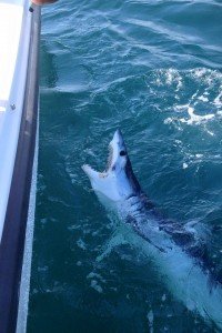 10481938_10205885637517656_1472138374506850408_n