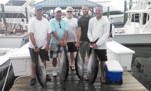 11406798_950195378364191_7724912699600688738_n