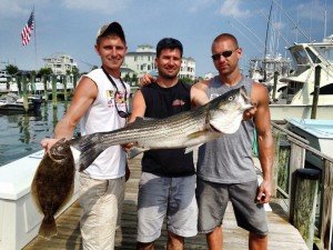 10956348_747363245374765_8011013066099976193_n