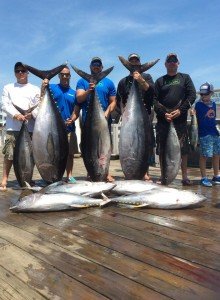 11393035_10153388223529414_8909807812783635611_n