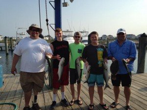 1982081_831850160197797_1508362928665910449_n