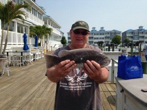 11251377_831237443592402_360371050811602151_n