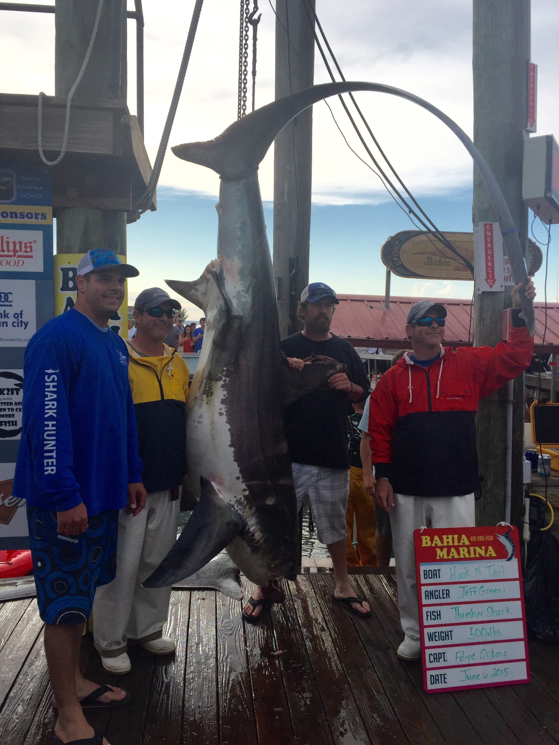 Mako Mania Day 2 Scales – Thresher Sharks