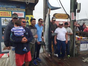 11392847_743820582395698_5165522040300125565_n