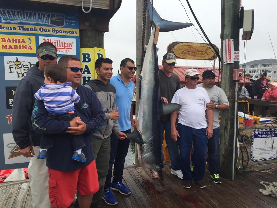 Mako Mania – Full Results