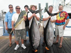 White lightning 155, 189 bigeye