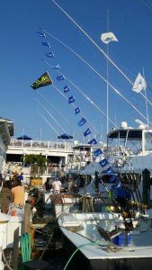 11791722_10205613253605175_425053246_n