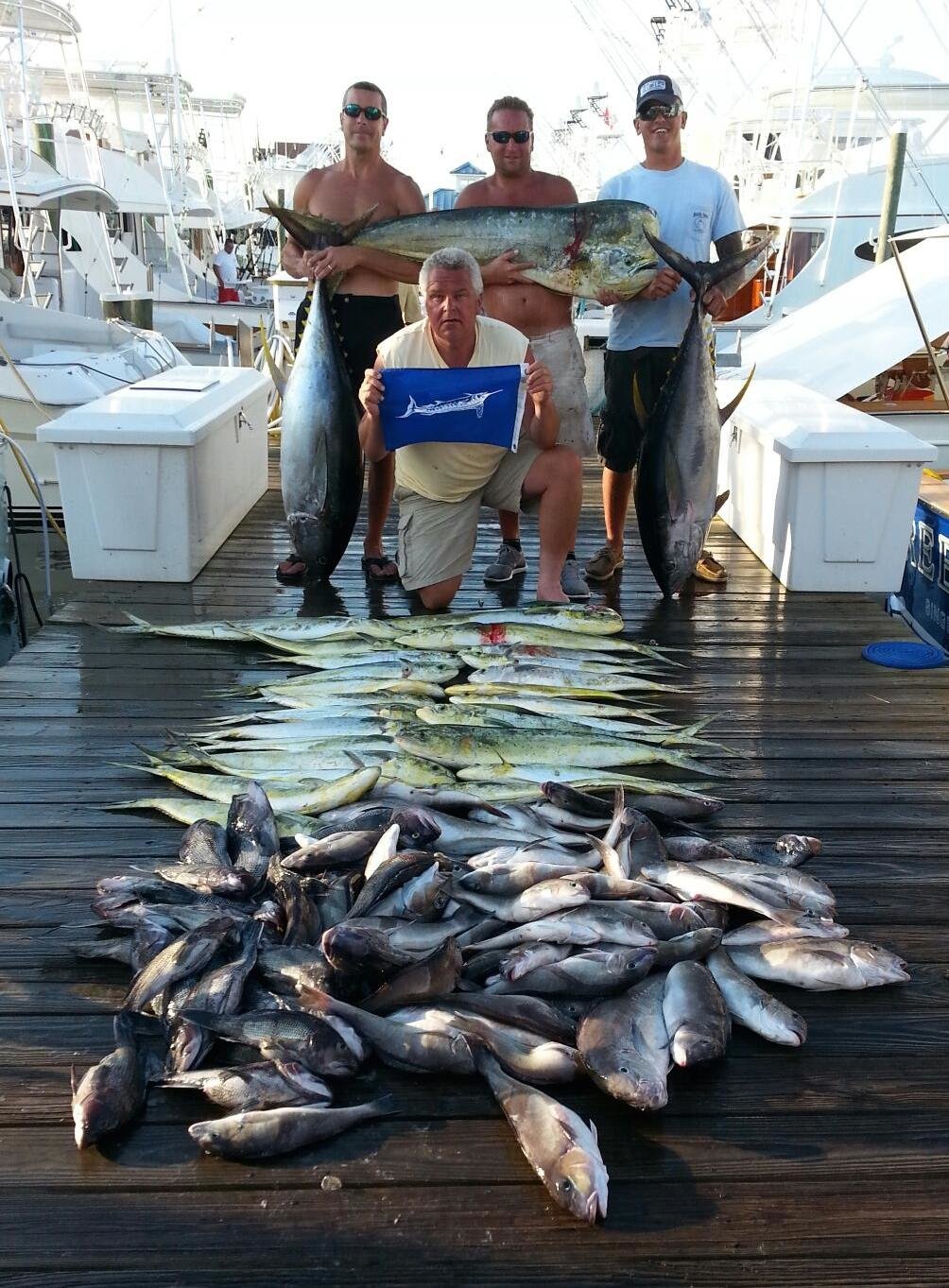 Awesome Fishing Top to Bottom