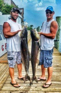 11693889_916090028450720_8893678453949294666_n