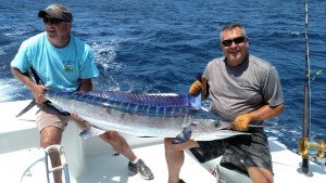 Spring Mix White Mark Wharton