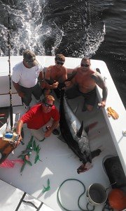 White Lightning bigeye 220