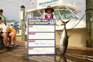 11742801_886481621432896_6432968230681104185_n