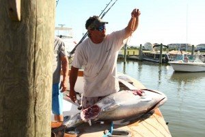 11738041_885725804841811_3496192630305240977_n