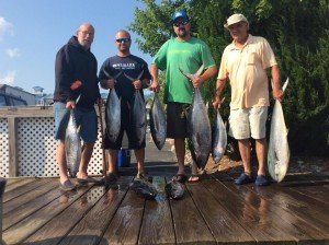 11217555_10153470253479414_3631056654567017265_n