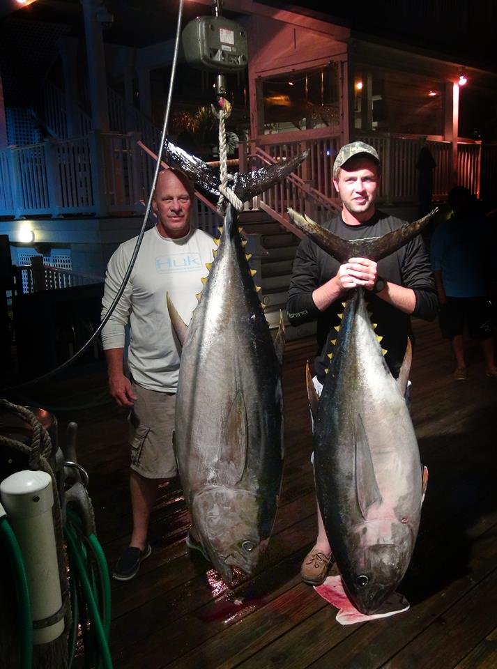 The Bigeye Night Bite is Outta Sight!