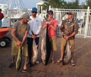 My Cin 123 Bluefin, 2 bluefin, Dolphin