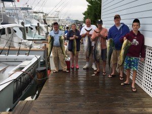 Wrecker 2 Bluefin, 5 Dolphin 7:2