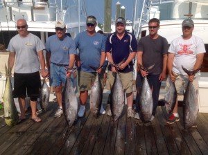 Marli 2 Bluefin 5 Yellowfin Dolphin 7:1