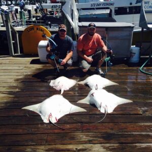 11822629_869108286471984_1411975095571479534_n