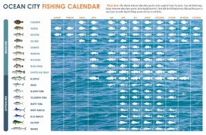 FishingCalendar_Web_FishInOC_2014_vol1.1