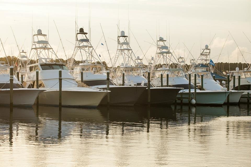 The Calm Before the Storm at The MidAtlantic Tournament