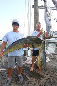 11902373_695692910532026_281270717132272448_n