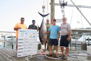 11903865_695691280532189_2791485704435637068_n