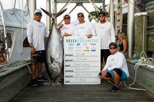 11885387_10153143810596448_3276194645705625427_n